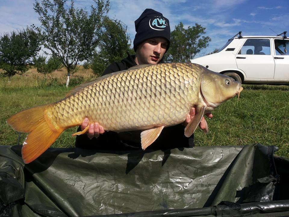 Cetariu - 1972433872580239482740980760050433747600n.jpg